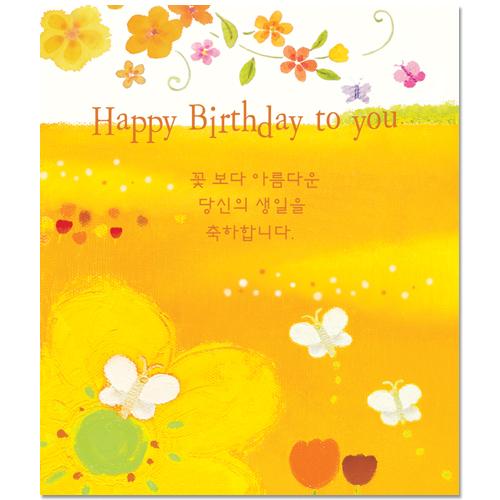 500카드-Happy Birthday to you NKC504(10매)
